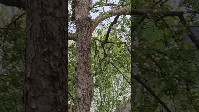 Лора Винтаж- У нас Гости!