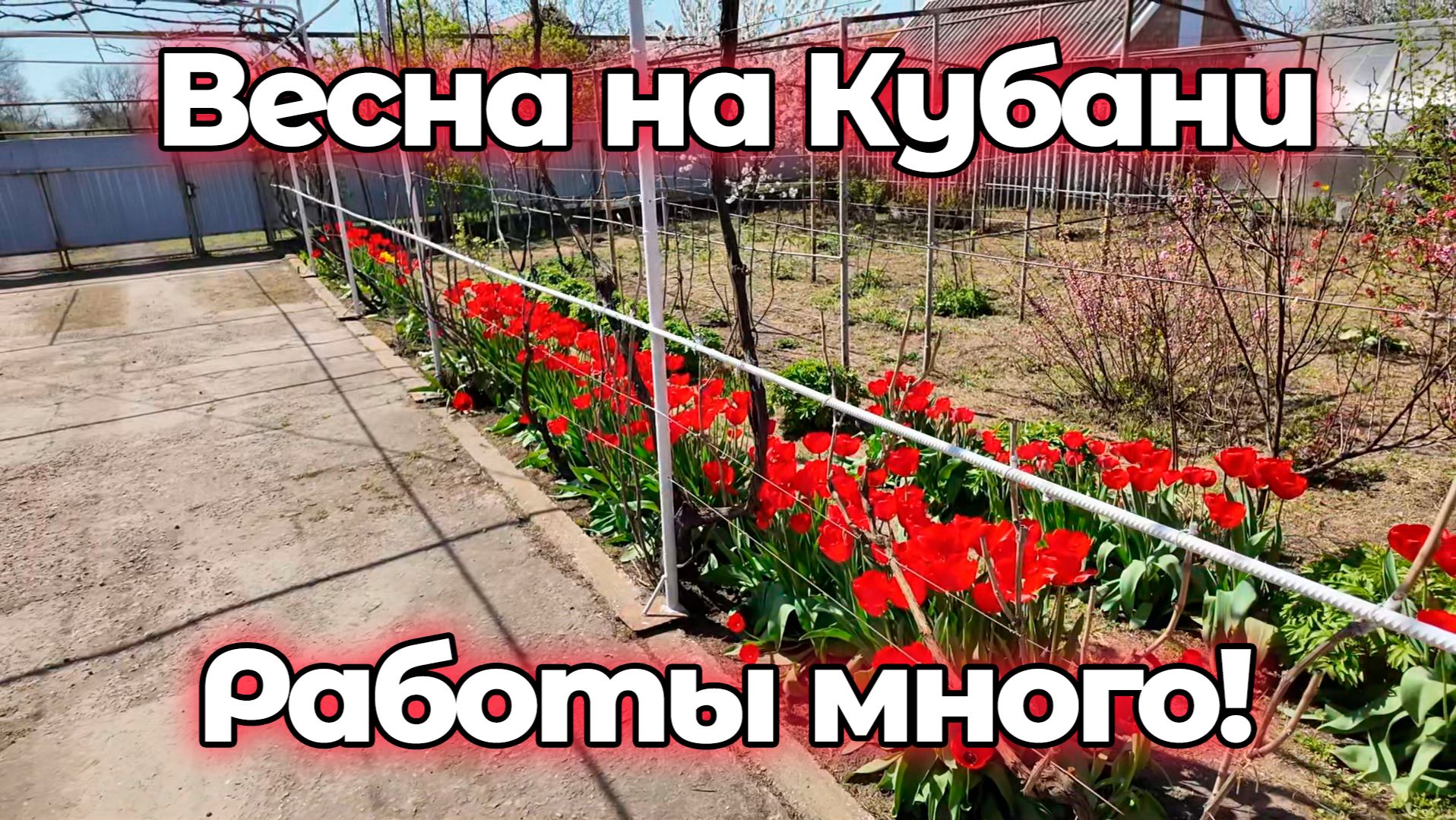 Весна на Кубани в полном разгаре! Работы в Ейске валом! Начали распыляться...