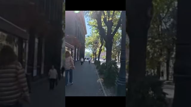 Крик армянского сердца
Nanulik Petrosyan