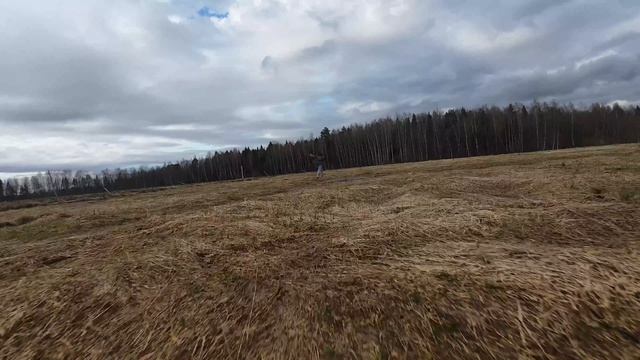 Бег по полю