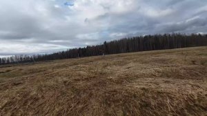 Бег по полю