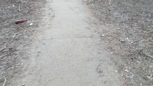 Ещё немного анекдотов от автора