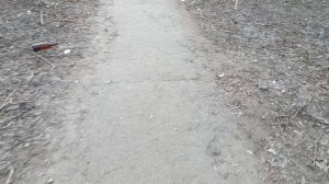 Ещё немного анекдотов от автора