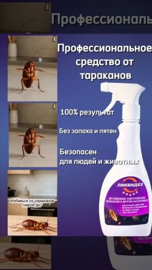 Видео от Департамент Вирусного Контента | ДВК