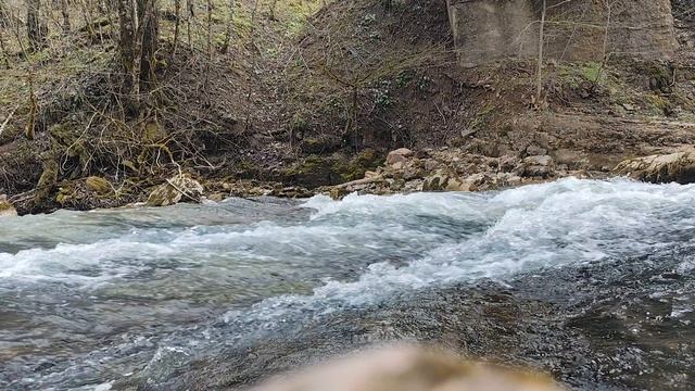 Река Курджипс в апреле.