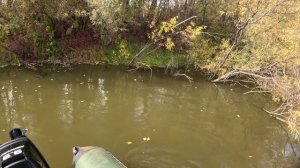 🔺️🎣ОНИ ЕСТЬ🎣🔺️fishing#туризм#природа#ловля#рыбалка#щука#ловлящуки#ночевка#Чулым#река#спиннинг