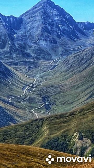 Великолепный Мамисон.