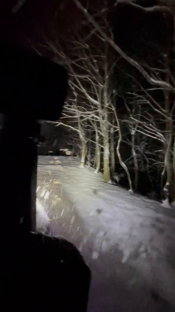 Mr.SOLOVEI | Throwback январь 2026