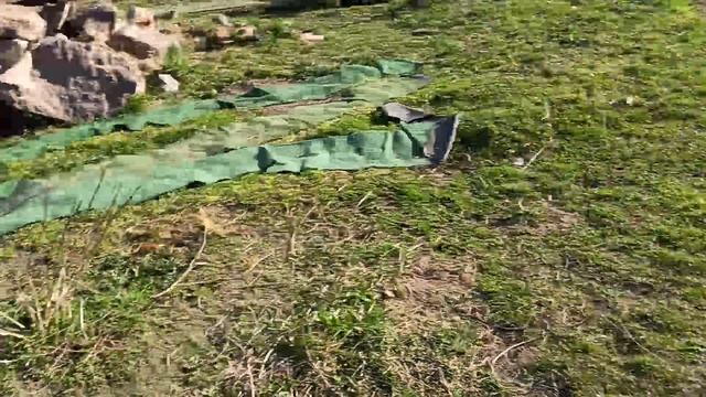 Чихуахуа ОТ 25 тр #купить_щенка_чихуахуа_продаю #MAX +79215950848