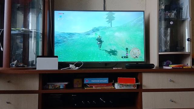 играем в Zelda проходим левра