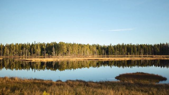 Hela of Mice & Magic - геймплейный трейлер In Tune with Nature