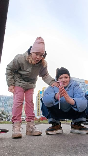 Котёнок жирный