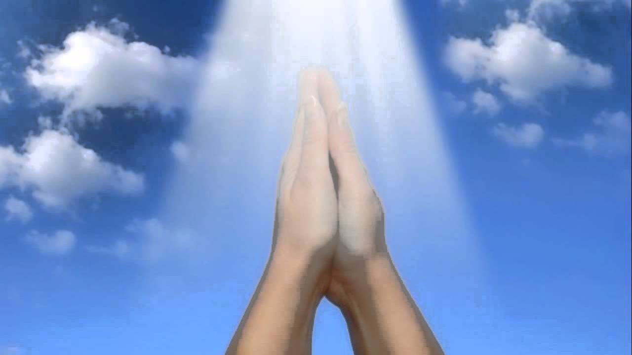 Хвала Любви!