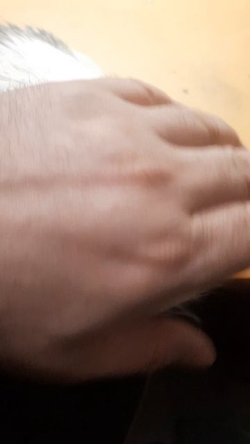 Васька не даёт работать в выходной