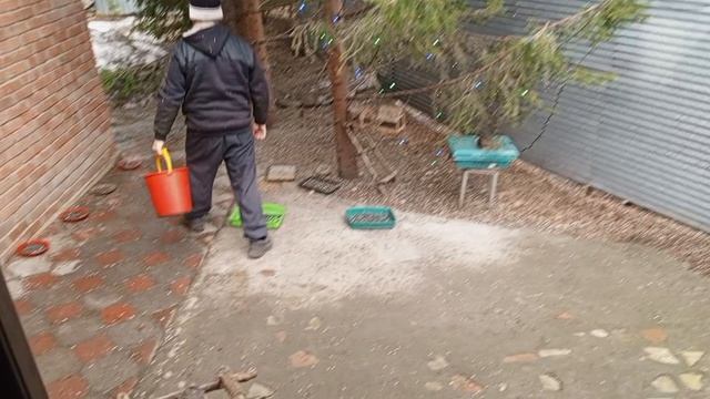 утро дождливое