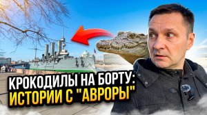 Крокодилы на борту: странные истории с крейсера "Аврора"