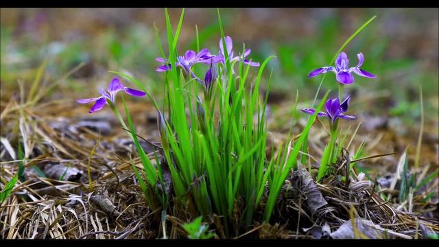 Положите монету в соль 19 апреля. Обряд, который меняет судьбу.