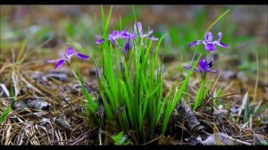 Положите монету в соль 19 апреля. Обряд, который меняет судьбу.