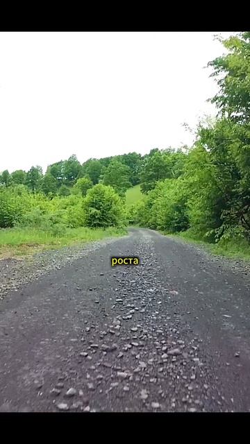 Аудиорассказ: Он подкармливал девушку без памяти… Но случайное объявление всё изменило