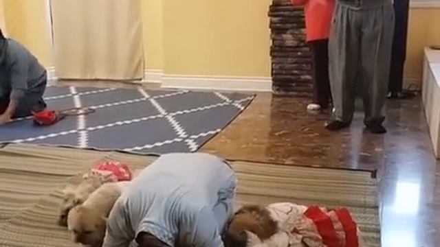 НАШИ ЖИВОТНЫЕ. 20.04.2026г. 🥰🥰🥰 Они для нас СТРАНИЦА В ЖИЗНИ, а мы для них И ЕСТЬ ВСЯ ЖИЗНЬ! 🤥🤗