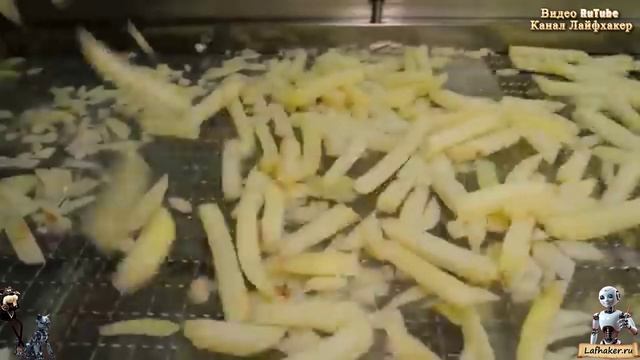 От поля до хрустящей корочки: Как рождается корейский картофель фри премиум-класса!🍟