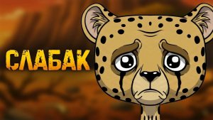 Почему быть гепардом — отстой?