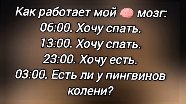 😜 Анекдот из Сыктывкара