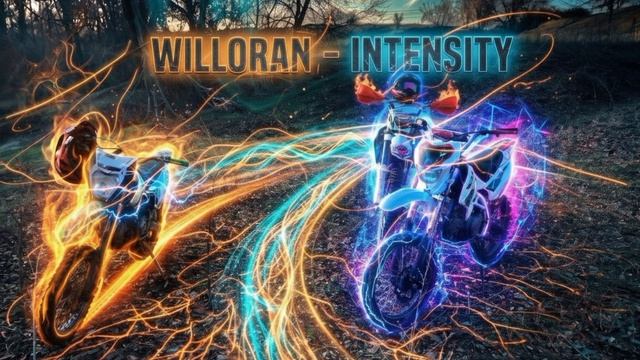 WILLORAN - INTENSITY