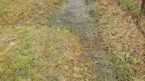 Всё хорошо,но грустно !😢