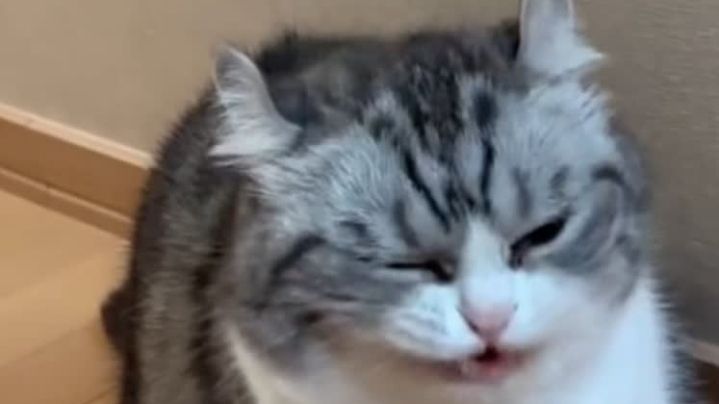 играю в майн на фаблике