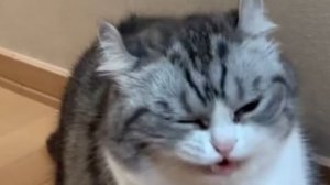 играю в майн на фаблике