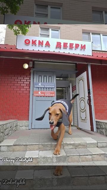 Новый продавец