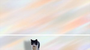 PushBaby Best Treasure Box vol.65  10min Compilation PushBaby Official