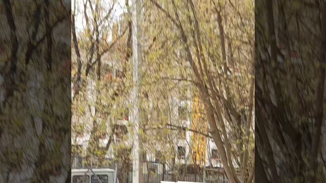 📅-19-Апрель-2026-🍄-Год

⌚️-12:16

📹-HD-mp4

📱-Samsung Galaxy M12