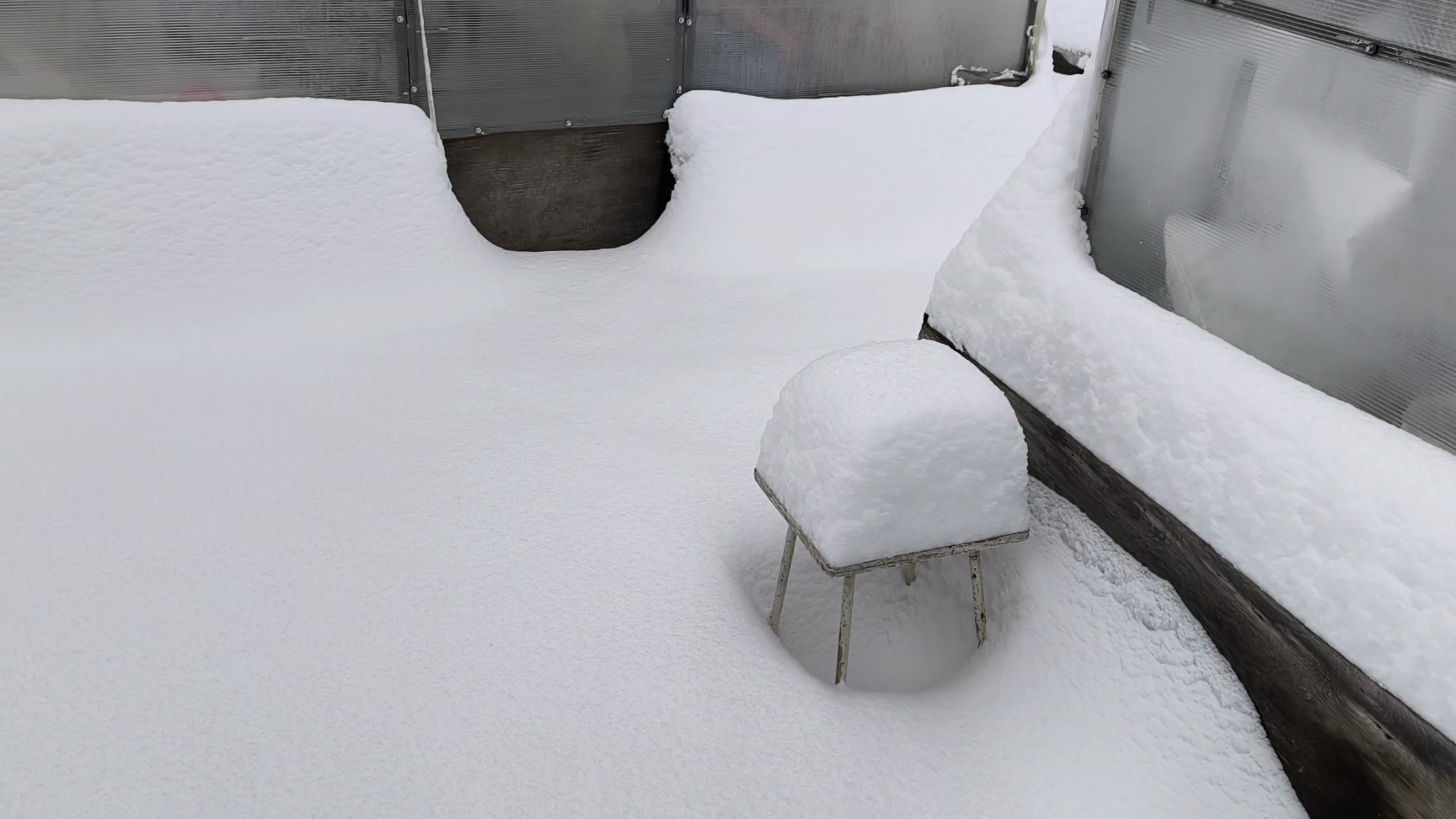 Весна будет или нет в этом сезоне 🤣🤣🤣