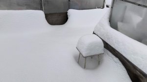 Весна будет или нет в этом сезоне 🤣🤣🤣