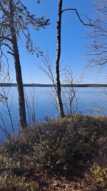 Привет из Карелии☀️