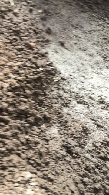 19 апреля #теплица #дача #садоводничество #огород #уходзатеплицей