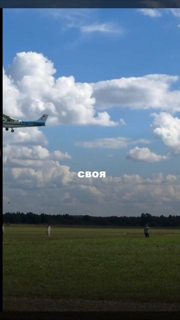 А какое гендер пати хотели бы вы?