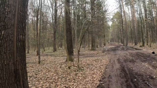 Велопрогулка 18.04.26