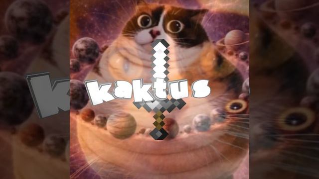 котость эдит :)