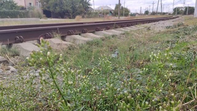 Один из дней города Евпатории  29 сентября 2021 г  Крым ХАН БАТОН XAH 6ATOH  VID_20210929_151714