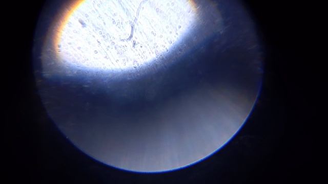 микроскоп 2