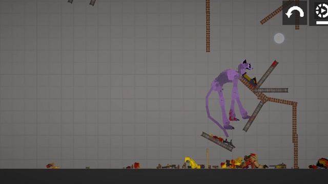 кэт нэп. Melon Playground