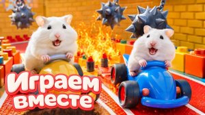 ХОМЯК ВЫБИРАЕТСЯ ИЗ СЕКРЕТНОЙ ХОМЯЧЕЙ ТЮРЬМЫ ! часть 3 🐹 Помогаем выбраться из лабиринта !