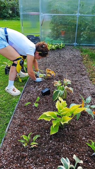 Как сделать клумбу своими руками?