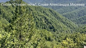 Стекает ночь