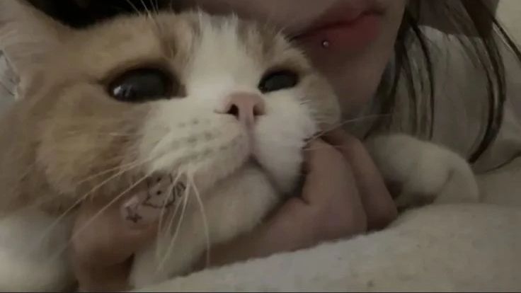 Немного обо мне :3