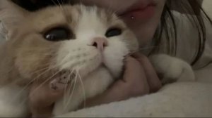 Немного обо мне :3