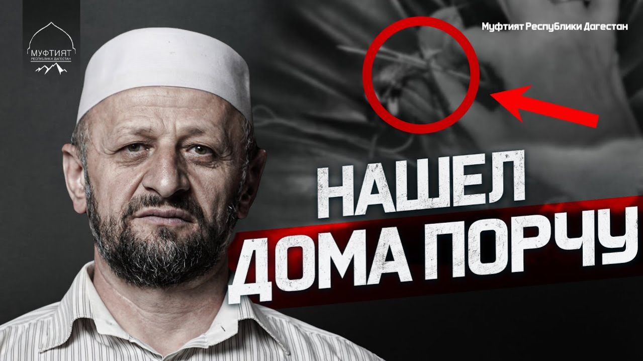 НАШЕЛ ДОМА ПОРЧУ. КАК БЫТЬ С ЭТИМ